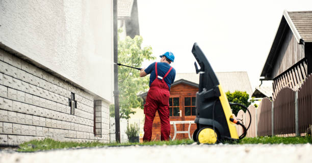 Best Gutter Cleaning  in Carrier Mls, IL